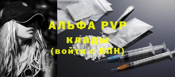прущие крисы Белокуриха