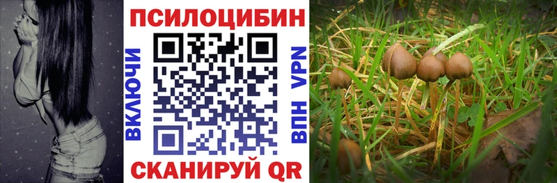 Галлюциногенные грибы Magic Shrooms  нарко площадка состав  Черняховск 